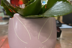 Easter-Gift-Idea-1