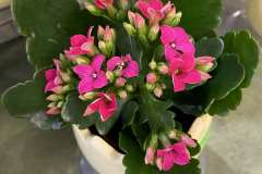 Easter-Gift-Idea-3