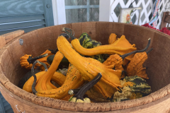 Fall-at-Kingsdene-Gift-Shop-2