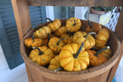 Fall-at-Kingsdene-Gift-Shop-3