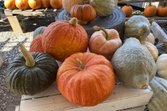 Fall-at-Kingsdene-Gift-Shop-4