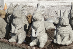 bunnies