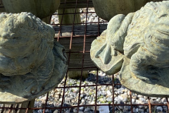 frogs