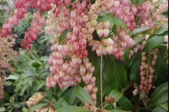 Spring-Items-Gift-Shop-2