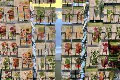 Seeds-and-Starters-for-Spring-2