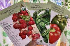 Seeds-and-Starters-for-Spring-4