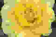 442463814_1236575664381945_684485820581681001_n