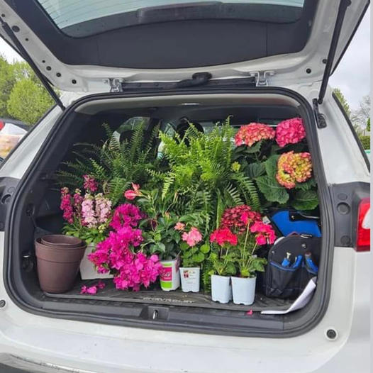 Kingsdene Nursery & Garden Center Monkton MD Trees, Plants, Flowers